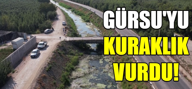 Gürsu'yu kuraklık vurdu