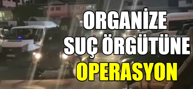 Organize suç örgütlerine operasyon