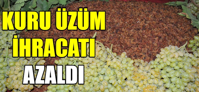 Çekirdeksiz kuru üzüm ihracatı azaldı