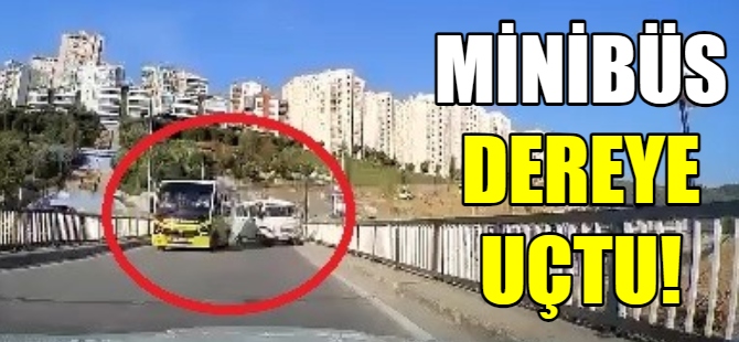 Minibüs dereye uçtu