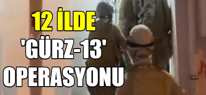 12 ilde “Gürz-13” operasyonu