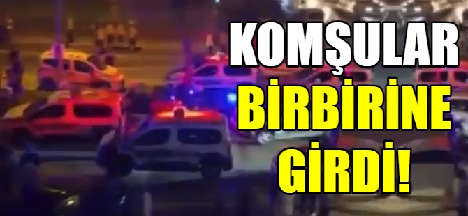 Komşular birbirlerini acımasız darp etti