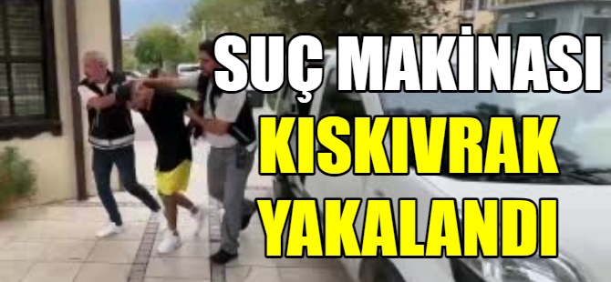 Suç makinesi kıskıvrak yakalandı