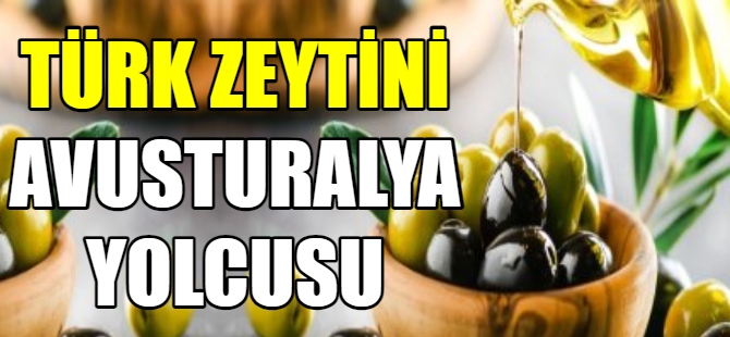 Türk zeytini Avustralya yolcusu