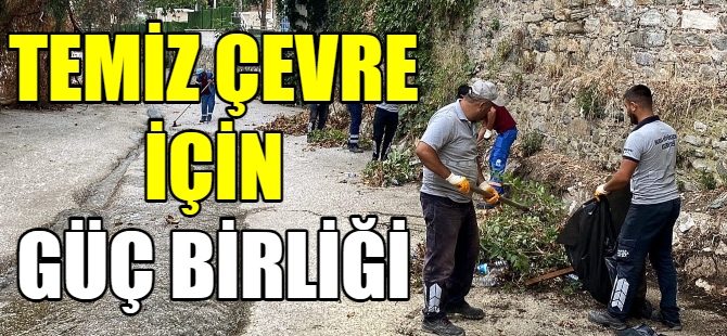 Temiz çevre için güç birliği