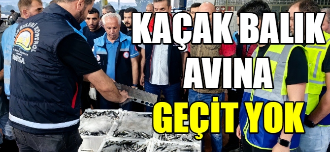 Kaçak balık avına geçit yok