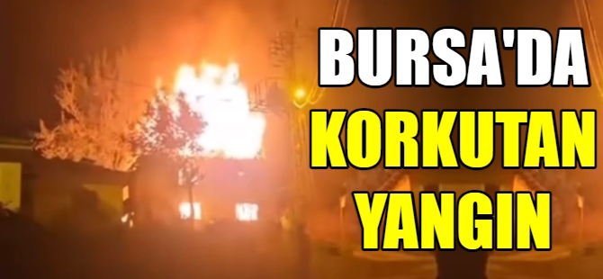 Bursa'da korkutan yangın