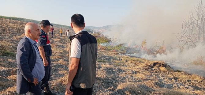 Yenişehir'de orman yangını