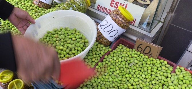 Yeni mahsul zeytin tezgaha çıktı