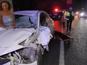 Kanseri yenen doktor trafik kazasında hayatını kaybetti