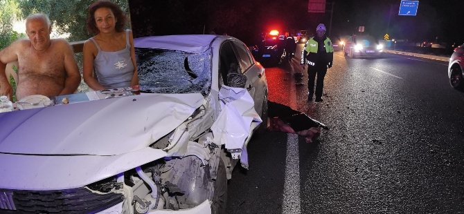 Kanseri yenen doktor trafik kazasında hayatını kaybetti