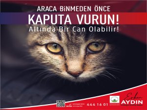 Araca binmeden önce kaputa vur