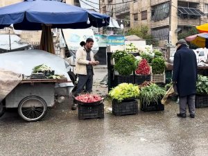 Halep'te günlük hayat hareketlendi