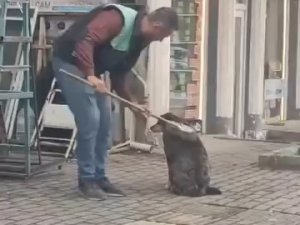 Bursa'da iç ısıtan görüntüler! Elindeki fırça ile...