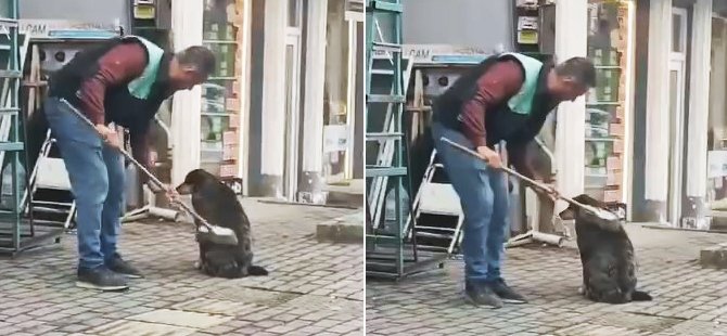 Bursa'da iç ısıtan görüntüler! Elindeki fırça ile...