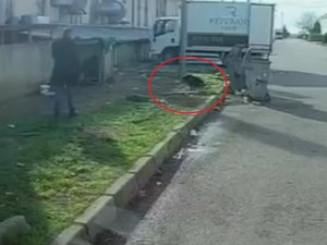 Bursa'da başıboş köpeği fark etmeyince... O kaçtı, köpek kovaladı