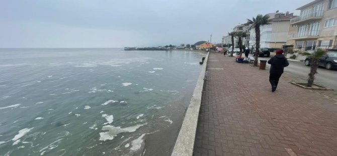 Bursa'da müsilaj alarmı! Deniz beyaz tabakayla örtüldü