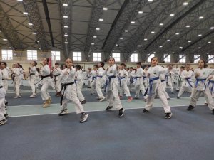 Osmangazi’de karate eğitim semineri