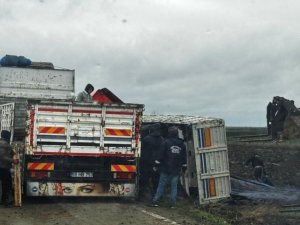 Kontrolden çıkan kamyon tarlaya devrildi