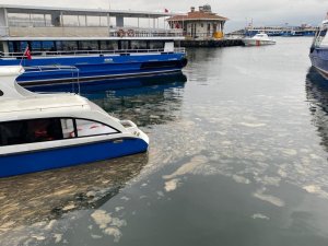 Marmara'da müsilaj tehdidi sürüyor