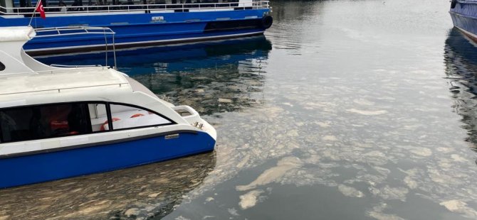 Marmara'da müsilaj tehdidi sürüyor