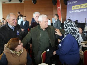 Merinos’un mirası Bursa’da yaşatılıyor