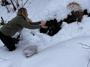 yaban hayvanları için doğaya yem bırakıldı