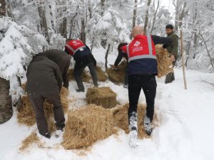 DKMP Uludağ'daki yaban hayvanlarını unutmadı