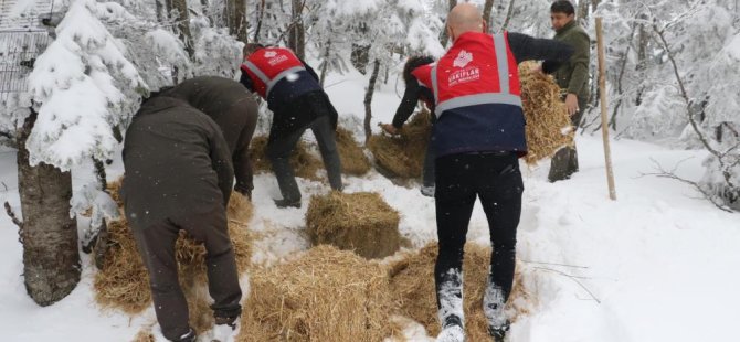 DKMP Uludağ'daki yaban hayvanlarını unutmadı