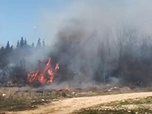 Bursa'da orman yangını!