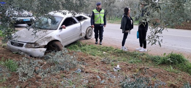 Otomobil zeytinliğe uçtu