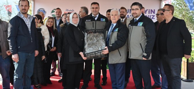 Bursa Büyükşehir’den çiftçiye 1 milyon 222 bin adet çilek fidesi