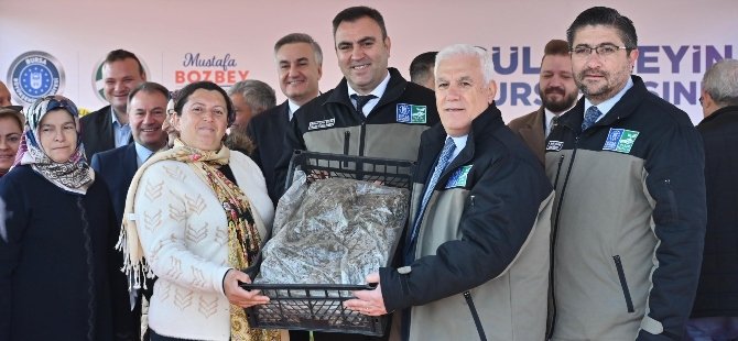 Büyükşehir’den çiftçilere çilek fidesi