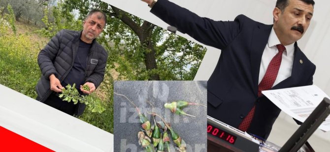 Türkoğlu'ndan hasar tespiti sorusu