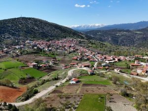 Binlerce kişi 'Dede aşı' için o köye akın etti