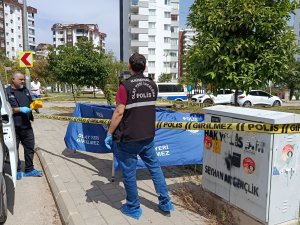 Çöpten insan kafatası çıktı