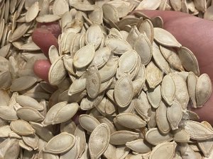 Kabak çekirdeğine "Salmonella", zencefile "Bacillus cereus"!