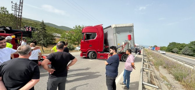 Bursa-İstanbul yolunda ulaşıma 'Arı' engeli!