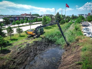 Bursa derelerinde temizlik zamanı