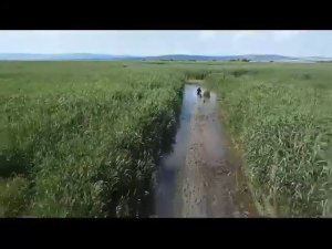 Karacabey'de kaybolan şahıs dronla bulundu