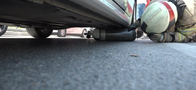 Yavru kedi, trafiği kilitledi