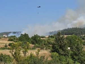 Bursa'daki o köy yangın sebebiyle tahliye ediliyor