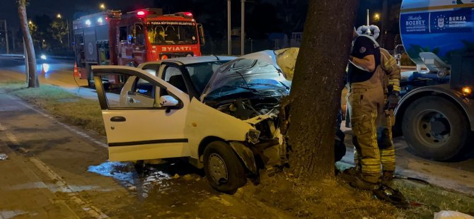 Otomobil ağaca çarptı: 2 yaralı