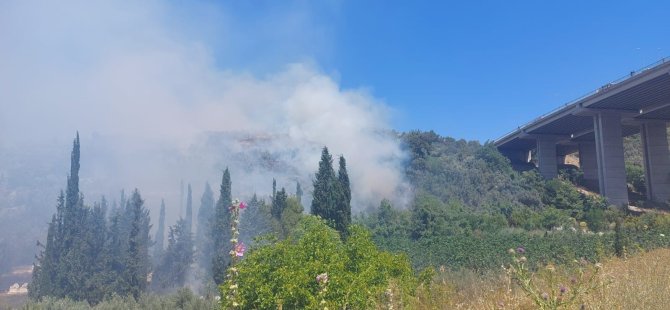 Bursa'da çam ormanı yanıyor