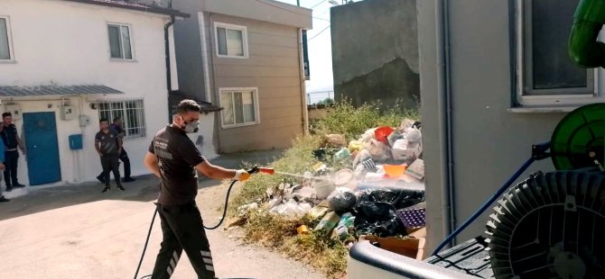 Çöp ev mahalleyi canından bezdirdi