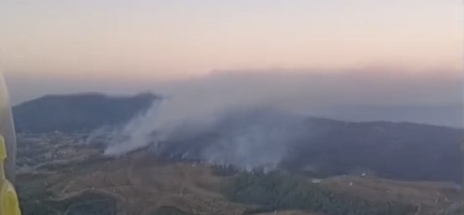 İzmir'de orman yangını sürüyor