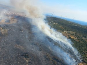 Çeşme ve Ödemiş'te yangınlar devam ediyor