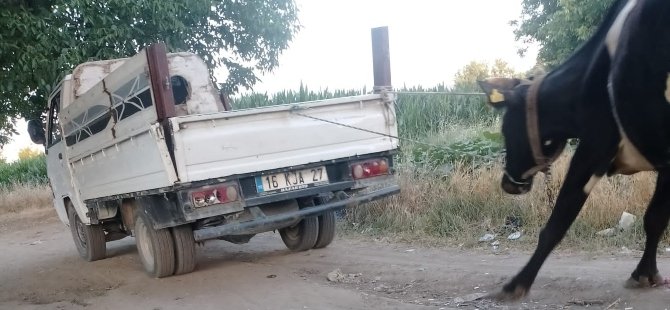 Böyle vicdansızlık görülmedi