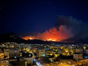 Hatay’daki orman yangını
