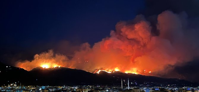 Hatay’daki orman yangını